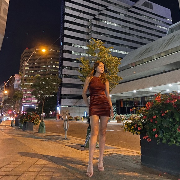 dynamite mid length halter dress - Picture 5 of 5